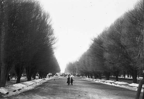 1894 Ташкент Городской Сад