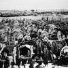 1912 Ташкент Кустари Изготавливают Повозки
