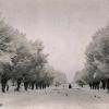1916 Ташкент Кауфманской Проспект в Снегу