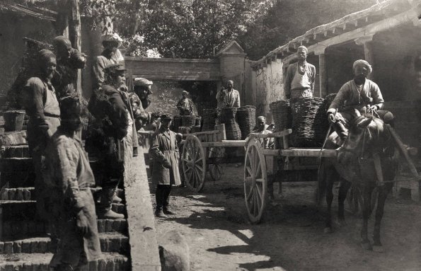 1925 Предпл Ташкент Предпл Сдача Винограда на Винзавод