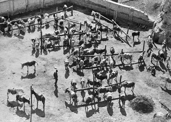1926 Ташкент Каравансарай