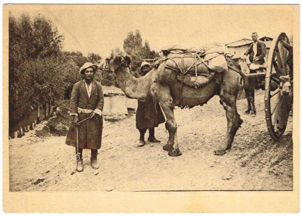1929 Ташкент Киргизы с Верблюдом Фото И Н Панова