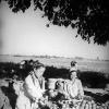 1935 Ташкентская Область Сбор Помидоров