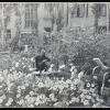 1939 Ташкент Во Дворе Роддома Текстильного Комбината