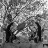 1968 Ташкент Государственный ансамбль народного танца УзССР Бахор исполняет танец Весна на улице