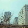 1983 Ташкент Дома с Мозаикой Братьев Жарских