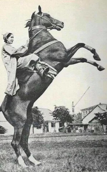 210