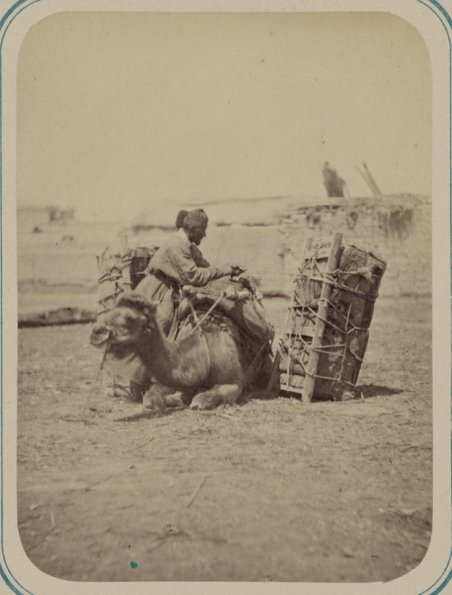 1870 Turkestan Unloading Camel