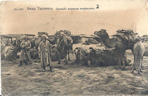 1900 Tashkent Camel Carawan Rest