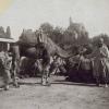 1905 Самарканд Верблюды