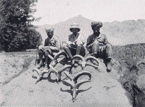 1907 Spy Paolovtsov Hunting in India