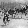 1910 Туркестан Свадебная Процессия