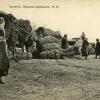 1910 Tashkent Camel Loading