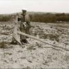 1910 Uzbekistan Plough