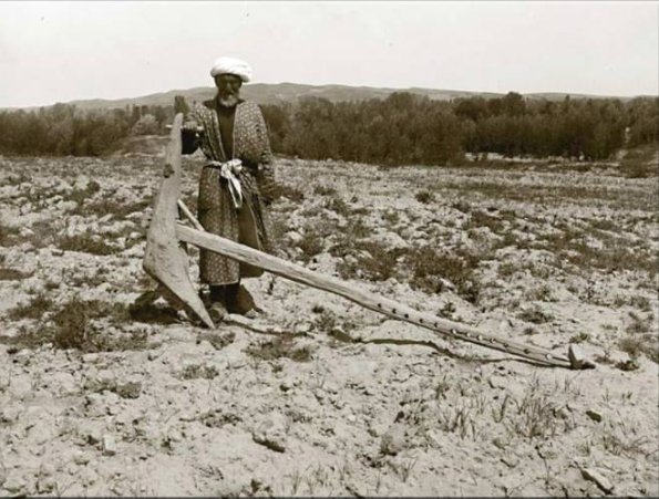 1910 Uzbekistan Plough