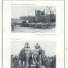 1921 Бухара Празднование Годовщины КА в Бухаре и Слоны Эмира Бухарского