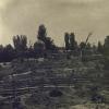 1921 Ташкент Шейхатаурское Кладбище