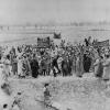1921 Узбекистан Раздача Земли и Скота Дехканам Земельно-Водная Реформа