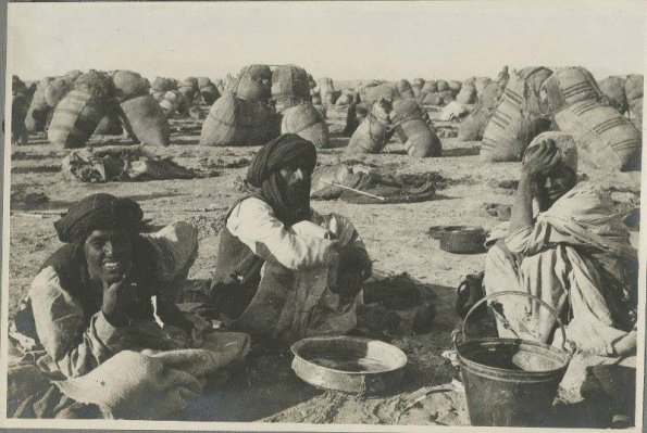 1924 Вавилов Николай Иванович Инст Опт Агр Остановка каравана с шерстью в Баквийской пустыне