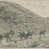 1924 Afghanistan Academian N. I. Vavilov's Karavan near Mazari-Sharif