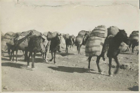 1924 Afghanistan Karavans in Beluchistan