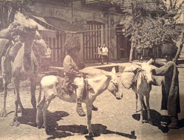 1925 Мерв Отправка на Ишаках и Верблюд
