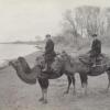 1930 Dromaders