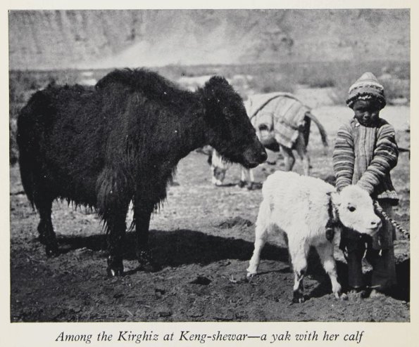 1930 Keng-Shevar Kirgiz Boy