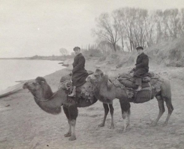 1930-Dromaders
