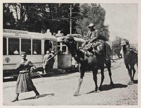 1932 Ташкент Трамвай и Верблюд