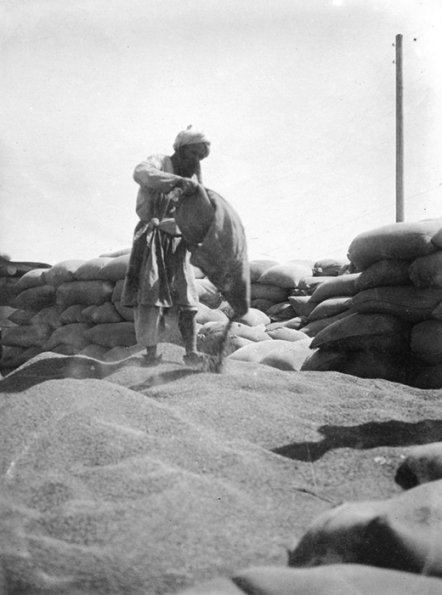 1932 Samarkand harvest