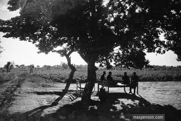 1935 Узбекистан Дайхане Отдыхают на Тапчане под Деревом