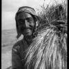 1940 Uzbekistan Wheat Penson
