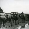 1942. Красный караван с хлебом из аулсовета Геокча Ашхабадского района для сдачи государству
