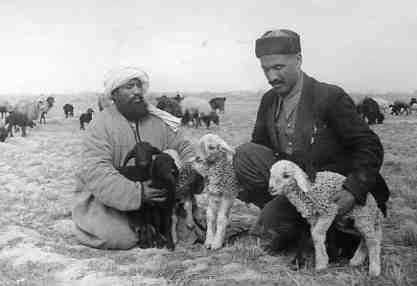 1948 Kyzyl Yulduz Kolkhos Zaveduyuschiy H Saidov and Cheppard Foreman A Matatkulov Tajikistan