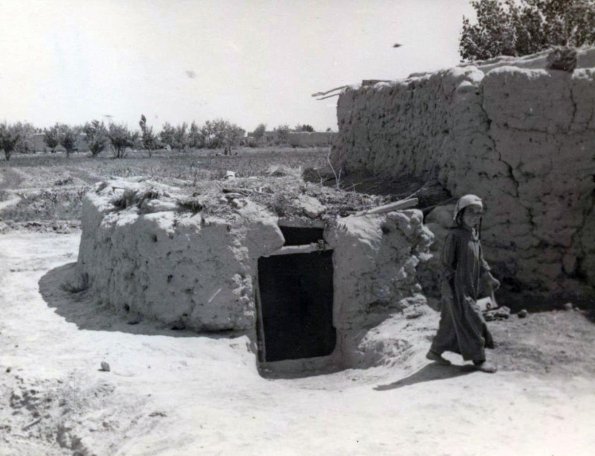 1955 Мургаб 4