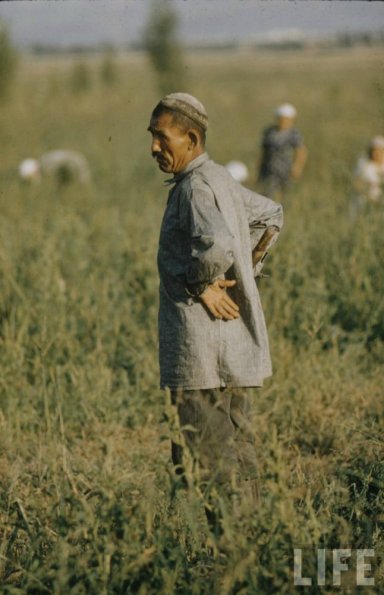1958 Средняя Азия Фото из Путешествия Говарда Сочурека 23