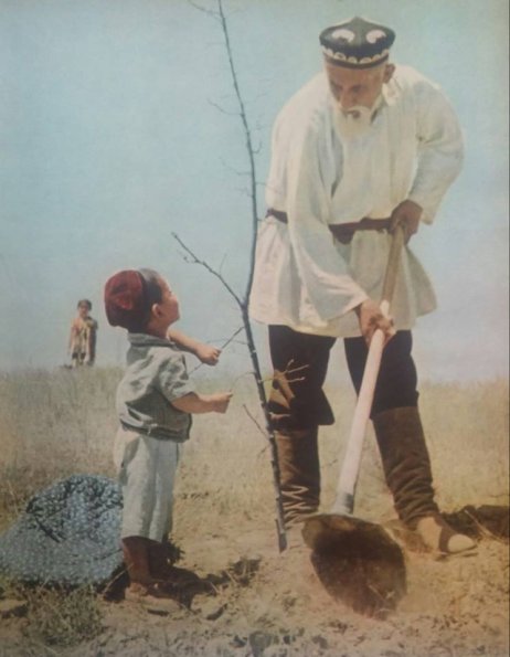 1960 First Tree in Desert Planting