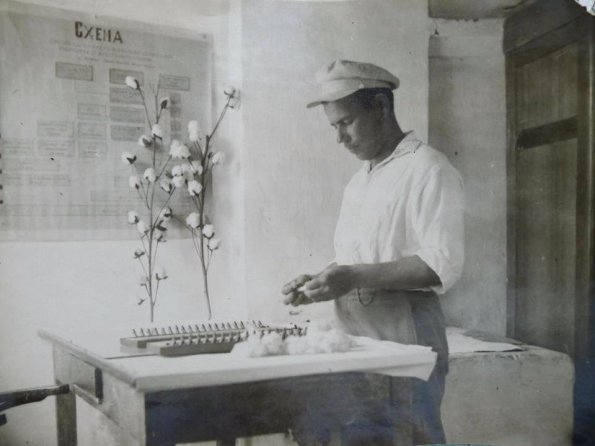 1965 Душанбе Селекционер Хлопчатника В П Красичков