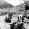 1970 Serpentologists