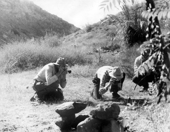 1970 Serpentologists