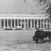 1972 Самарканд Аэропорт