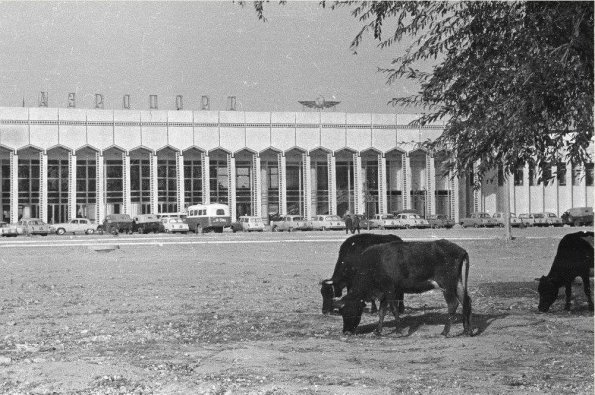 1972 Самарканд Аэропорт