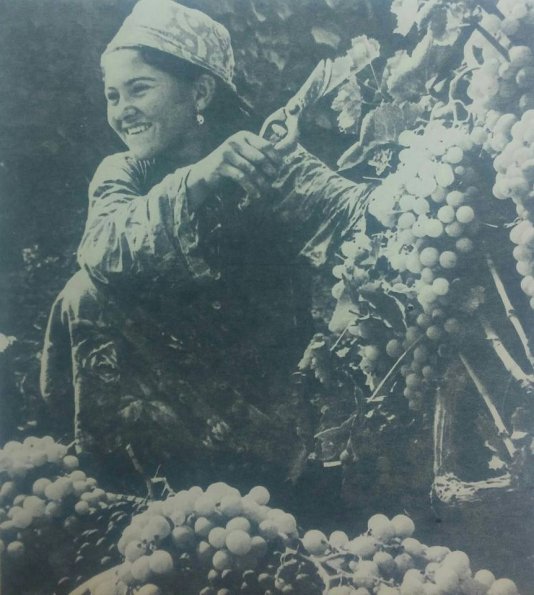 1974 Душанбе 3