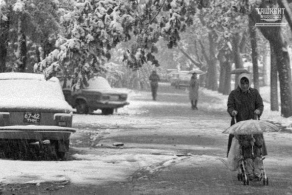 1987 Tashkent Winter