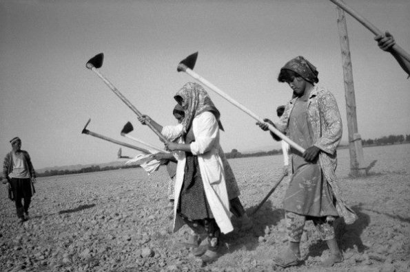 1987 Women Working with Ketmen